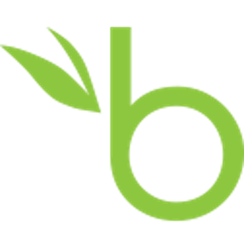 See BambooHR data in all your applications